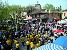 Marche-aux-fleurs-Fources