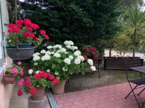 Terrasse du gîte La Pitchounette